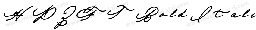 HDZFT Bold Italic字体转换